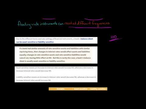 Balance Sheet Type | Asset Liability Management [Video]