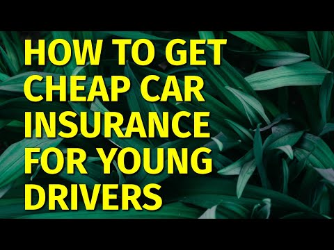 How to Get Cheap Car Insurance for Young Drivers//2021 [Video]