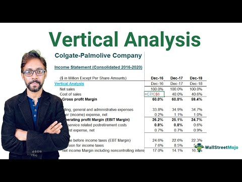 Vertical Analysis (Step by Step Financial Ratio Analysis Tutorial) – Part 2 of 33 [Video]