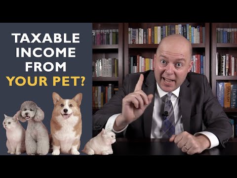 Taxable Income from your Pet? [Video]