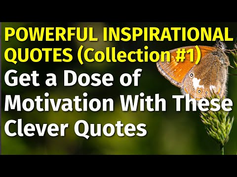 Best Inspirational Quotes | Collection #1 | Powerful Motivational Quotes about Life Lessons [Video]