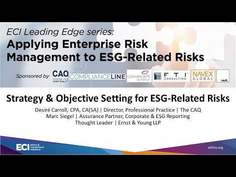 Strategy and Objective Setting for ESG Related Risks [Video]