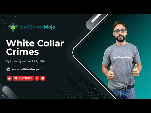 White Collar Crimes Explained! (Step by Step) [Video]