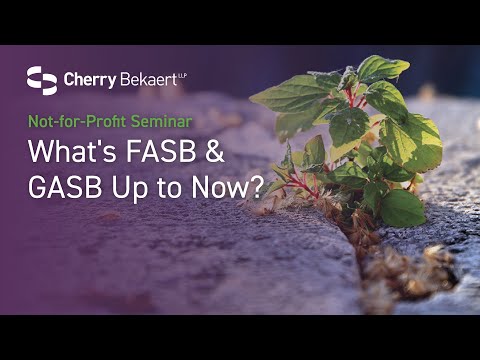 2021 Virtual Not-for-Profit Seminar: FASB and GASB Overview [Video]