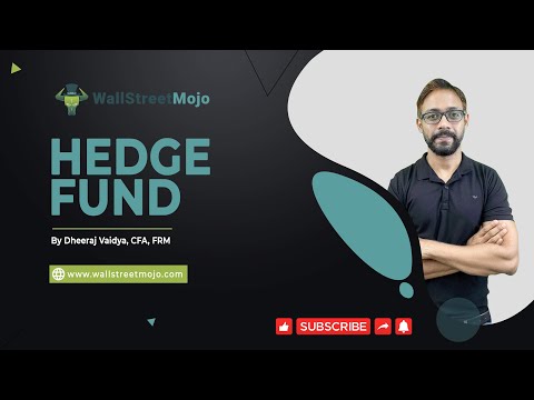 What are Hedge Funds? [Video]