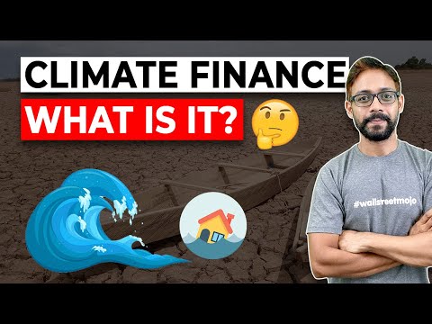 What is Climate Finance? (How it Works?) [Video]