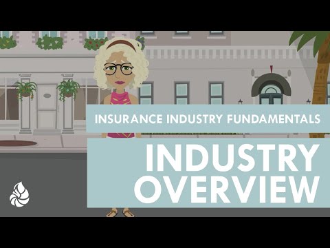 Insurance Industry Fundamentals: Nervous Nellie [Video]