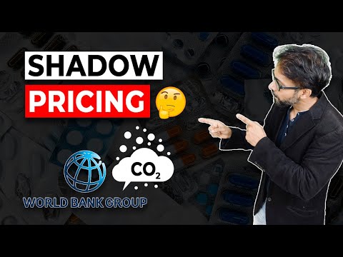 What is Shadow Pricing? (How it Works?) [Video]