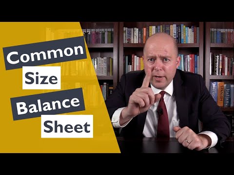 How to Make a Common Size Balance Sheet [Video]