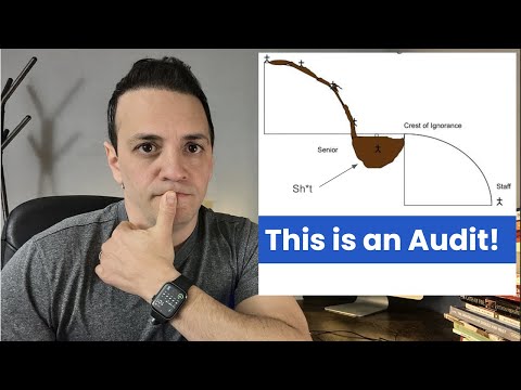 This auditor is depressed, here are all the reasons why [Video]