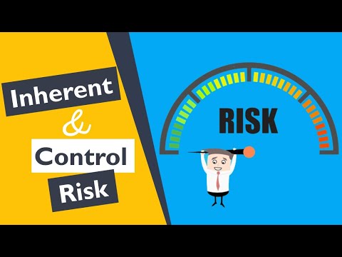 How to Assess Inherent Risk and Control Risk for Revenue [Video]