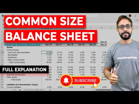 Common Size Balance Sheet – Formula, Calculations (Step by Step) [Video]