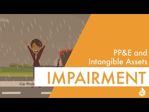 PP&E and Intangible Assets [Video]