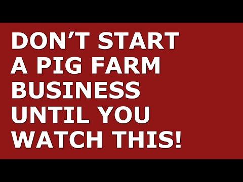 How to Start a Pig Farm Business [Video]