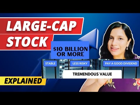 Unravelling the Mystery of Large-Cap Stocks – Learn the basics! [Video]