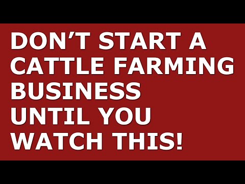 How to Start a Cattle Farming Business | Free Cattle Farming Business Plan Template Included [Video]