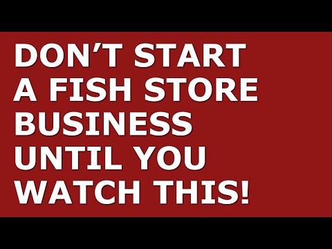 How to Start a Fish Store Business | Free Fish Store Business Plan Template Included [Video]