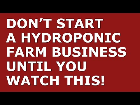 How to Start a Hydroponic Farm Business | Free Hydroponic Farm Business Plan Template Included [Video]