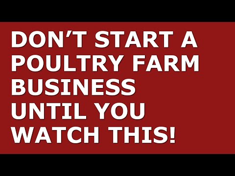 How to Start a Poultry Farming Business | Free Poultry Farming Business Plan Template Included [Video]