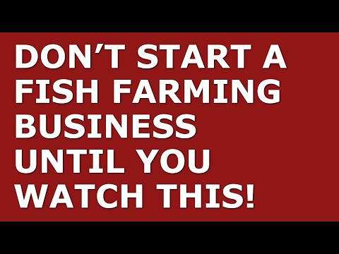 How to Start a Fish Farming Business | Free Fish Farming Business Plan Template Included [Video]