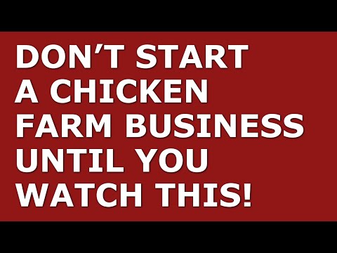 How to Start a Chicken Farm Business | Free Chicken Farm Business Plan Template Included [Video]