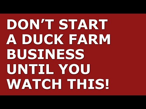 How to Start a Duck Farm Business | Free Duck Farm Business Plan Template Included [Video]