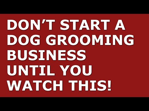 How to Start a Dog Grooming Business | Free Dog Grooming Business Plan Template Included [Video]