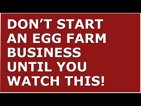 How to Start a Egg Farm Business | Free Egg Farm Business Plan Template Included [Video]