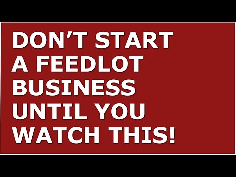 How to Start a Feedlot Business | Free Feedlot Business Plan Template Included [Video]