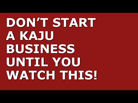 How to Start a Kaju Business | Free Kaju Business Plan Template Included [Video]