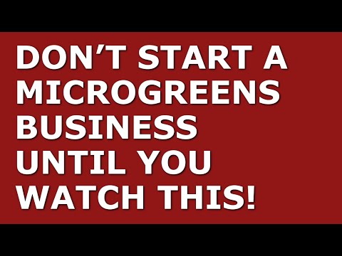 How to Start a Microgreens Business [Video]