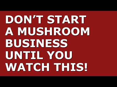 How to Start a Mushroom Business [Video]