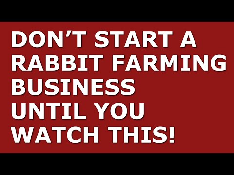 How to Start a Rabbit Farming Business [Video]