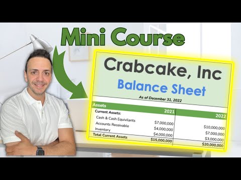 A Mini Crash Course on the Balance Sheet. Everything you need to know [Video]