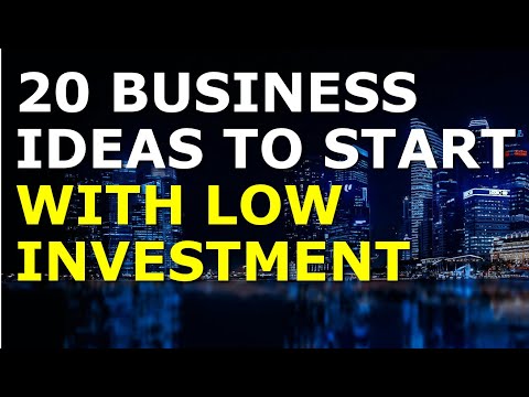 20 Business Ideas to Start with Low Investment [Video]