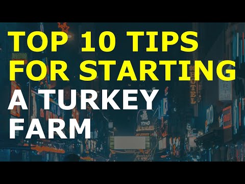 How to Start a Turkey Farm Business [Video]