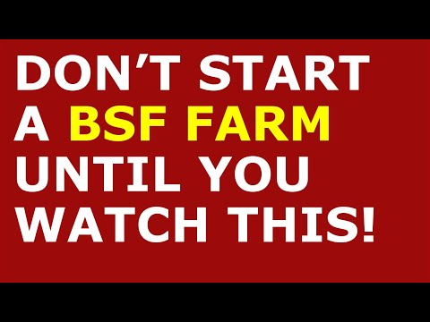 How to Start a BSF Farm Business [Video]