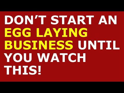 How to Start an Egg Laying Business [Video]