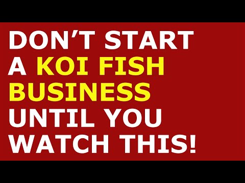 How to Start a Koi Fish Business | Free Koi Fish Business Plan Template Included [Video]