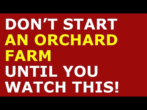 How to Start a Ostrich Farm Business | Free Ostrich Farm Business Plan Template Included [Video]