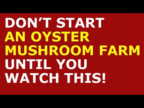 How to Start a Oyster Mushroom Farm Business | Free Oyster Mushroom Business Plan Template Included [Video]