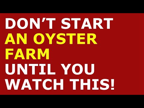 How to Start an Oyster Farm Business | Free Oyster Farm Business Plan Template Included [Video]