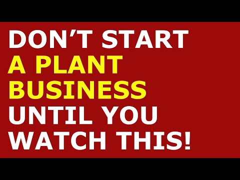 How to Start a Plant Business | Free Plant Business Plan Template Included [Video]