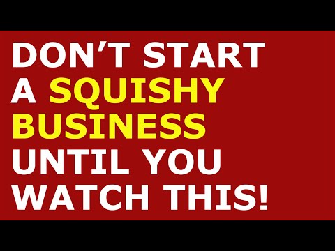 How to Start a Squishy Business | Free Squishy Business Plan Template Included [Video]