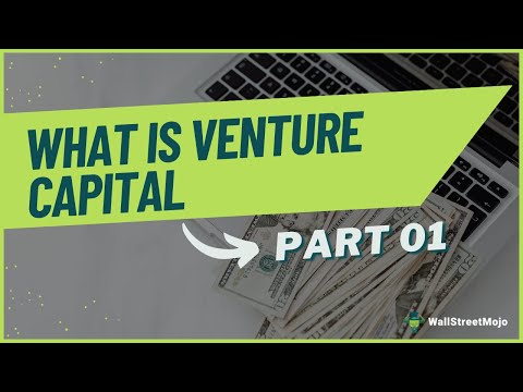 What is Venture Capital?  [Video]