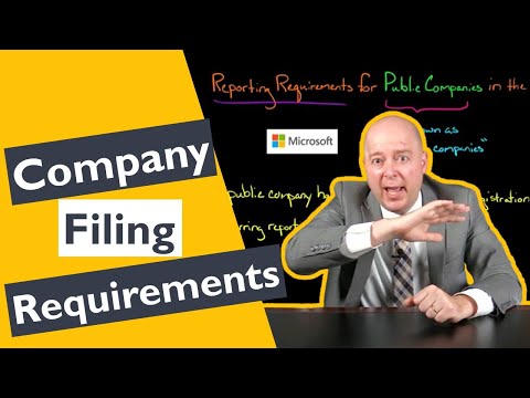 Public Company Filing Requirements for the US [Video]