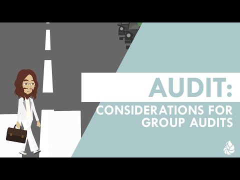 Audit: Considerations for Group Audits [Video]