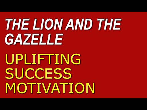 Inspirational Self Motivation: The Lion and the Gazelle [Video]