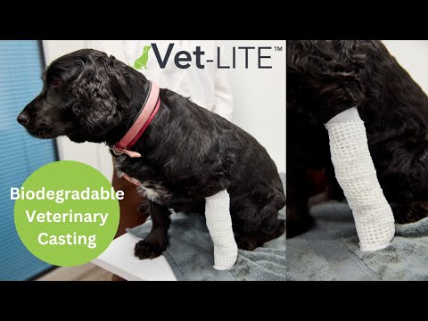 Lite – Biodegradable Veterinary Casting [Video]